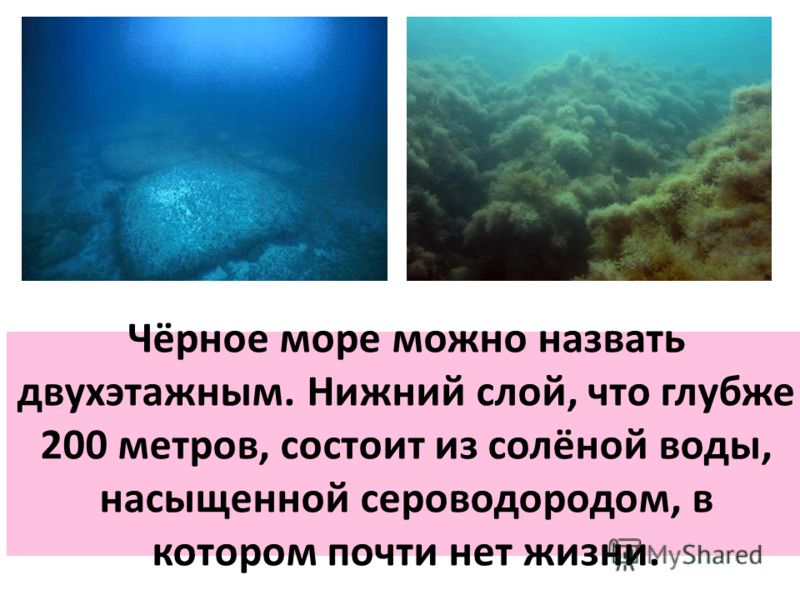 Причина черного моря. Почему черное море назвали черным. Почему чёрное море называется чёрным. Почему чёрное море назвали чё. Почему море назвали черным.