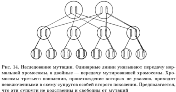 Как передается шизофрения по наследству по какой схеме по материнской линии