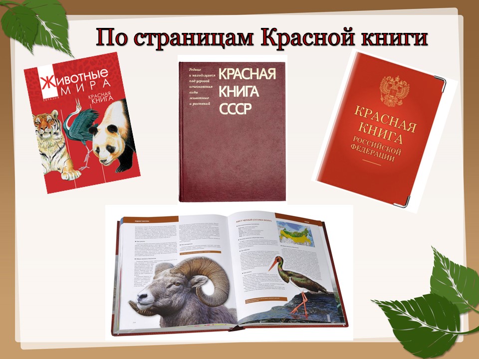 Животные красной книги москвы картинки