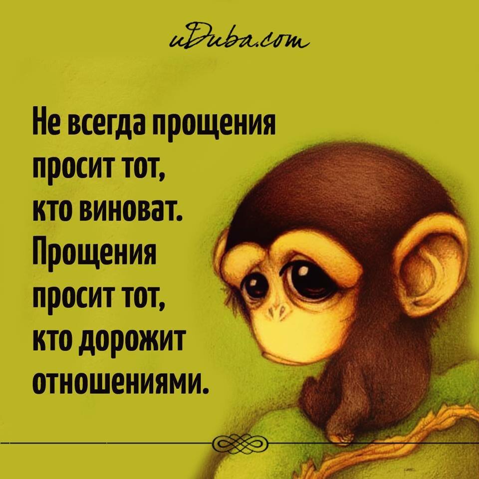 Прошу прощения прикольные. Открытки с извинениями. Стихи с извинениями. Открытки с извинениями прикольные. Открытка с извинениями перед женой.