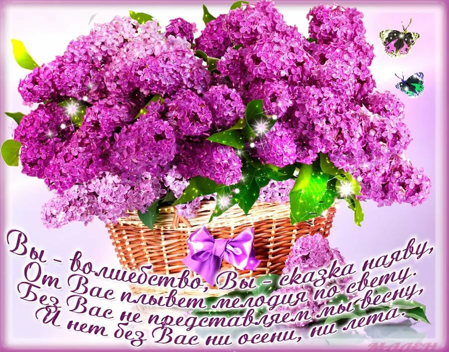 Картинки с сиренью и пожеланиями