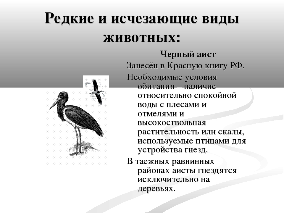 Под угрозой сейчас находится большинство оставшихся высших видов растений и животных план текста