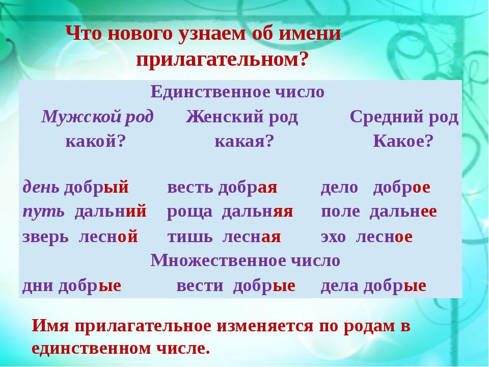 Записать 2 слова прилагательных. Имя прилагательное. Имена на п. Имена прилагательные в русском языке. Что такое прилагательное?.