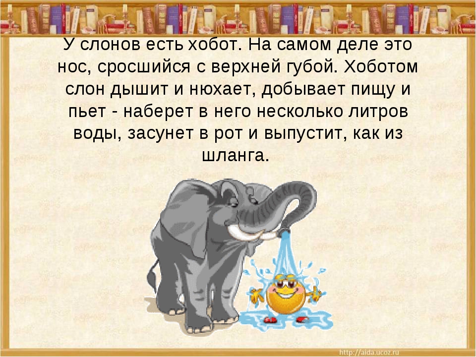 Стихотворение слон учить