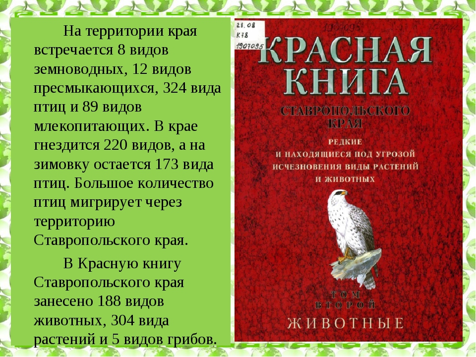 Из красной книги картинки птиц