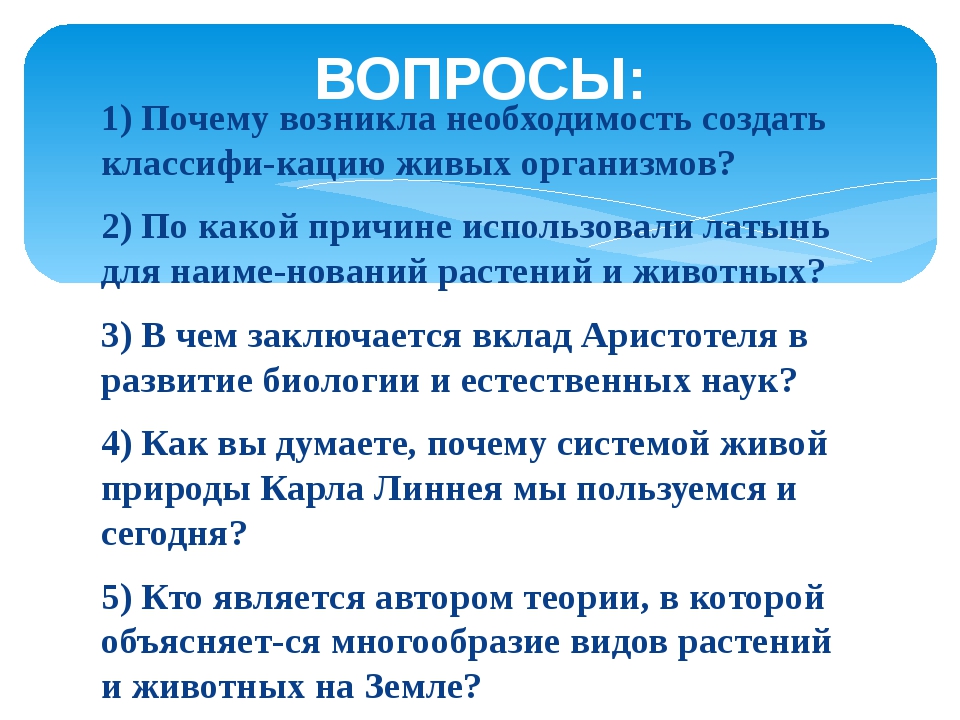 Почему возникла необходимость. Почему возникла необходимость в классификации животного мира. Почему появилась необходимость классификации организмов. Почему возникает необходимость в науке систематика.