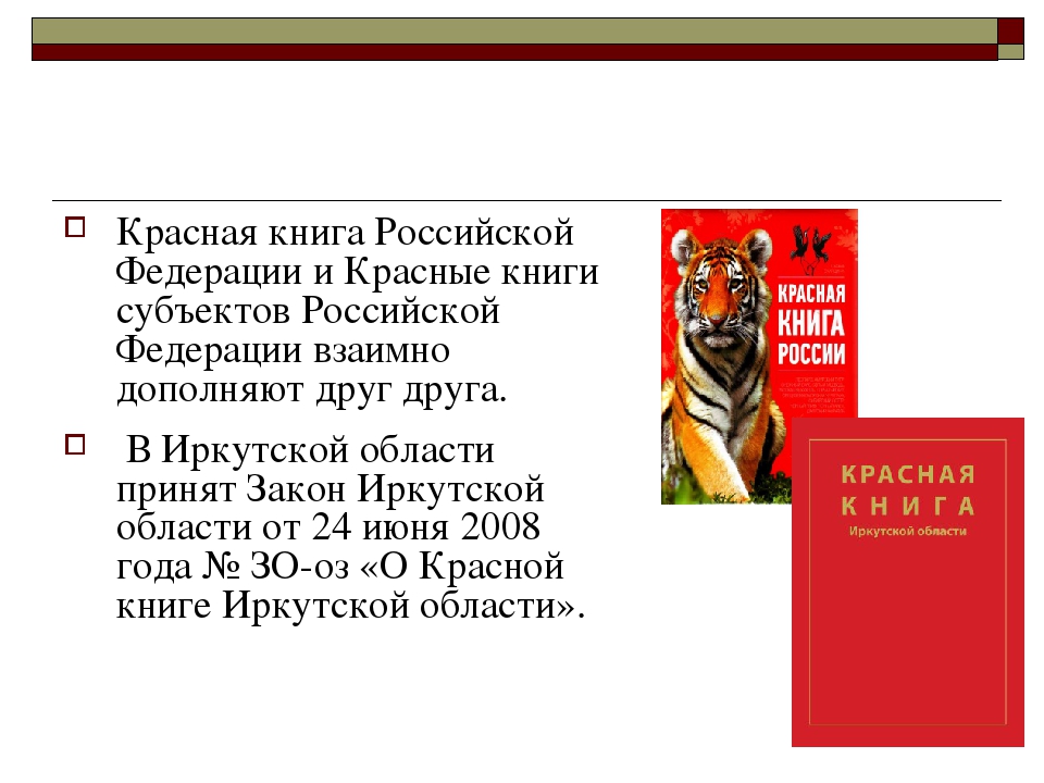 Животные красной книги иркутской. Красная книга Иркутской области книга. Животные Иркутской области занесенные в красную. Животные красной книги Иркутской области. Красная книга Иркутской области книга животные.