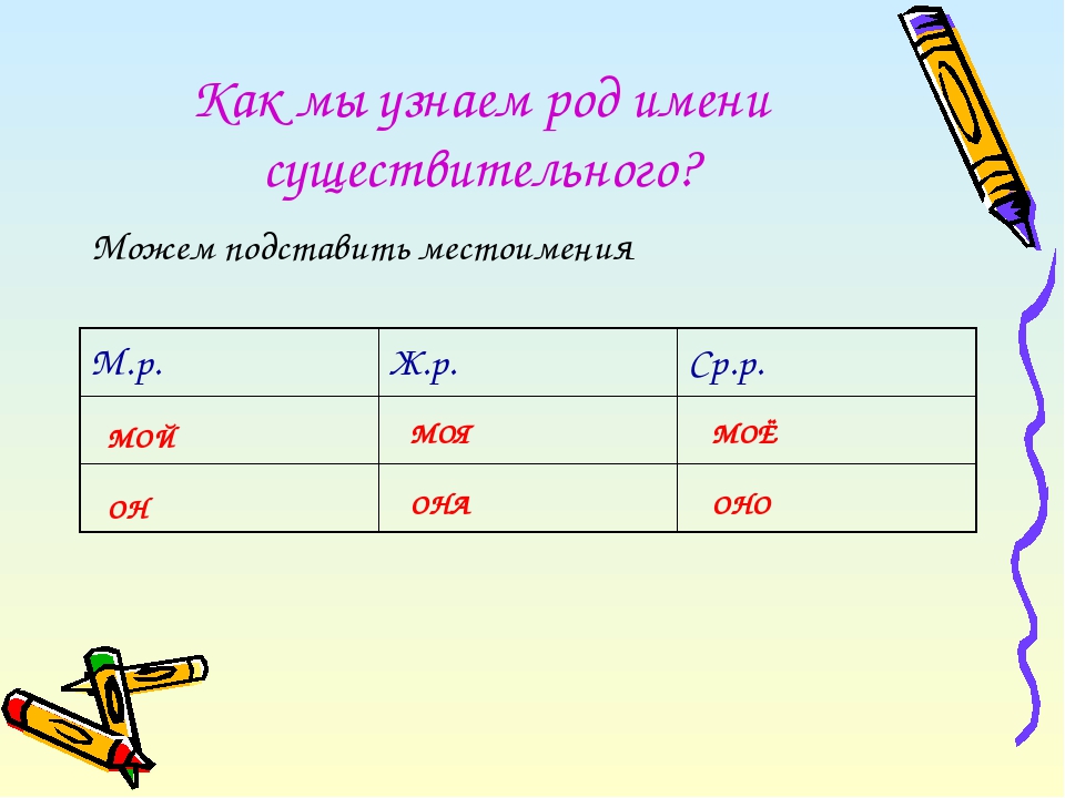 Роды местоимений. Как определить род местоимения. Какой род у местоимения. Род местоимения я. Определить род местоимений.