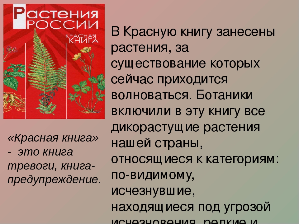 Какие растения в красной книге. Лекарственные растения красной книги России. Красный цветок занесенный в красную книгу. Лекарственные растения занесенные в красную книгу России. Охрана растений красная книга.