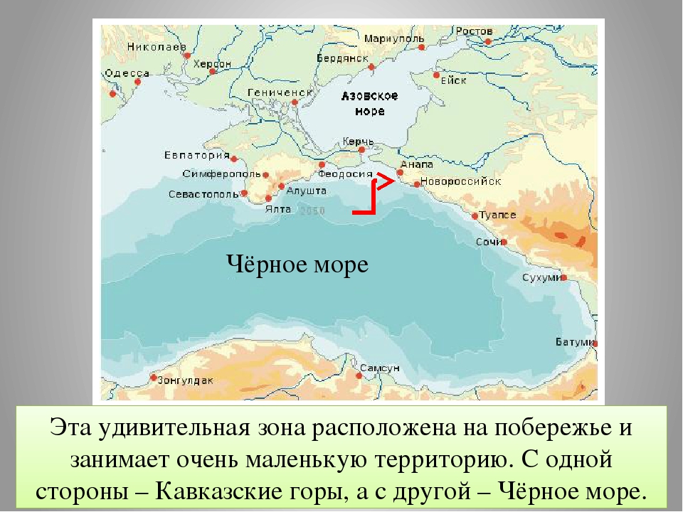 Субтропики на побережье какого моря находится