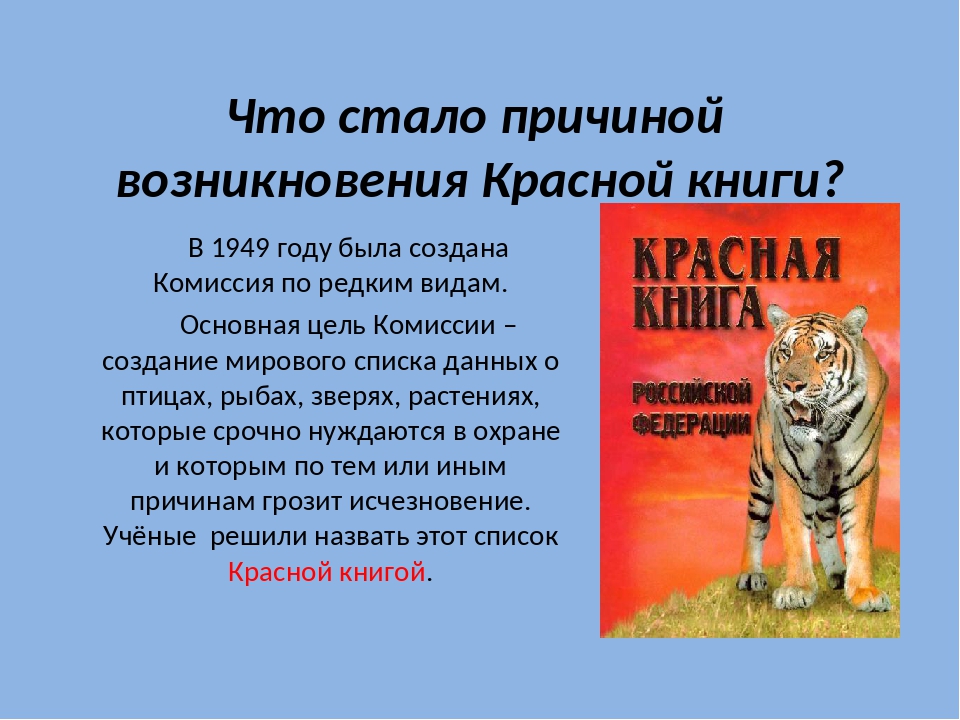 Проект красная книга 4 класс. Проект красная книга России. Причины создания красной книги. Что стало причиной возникновения красной книги. Цель создания красной книги.