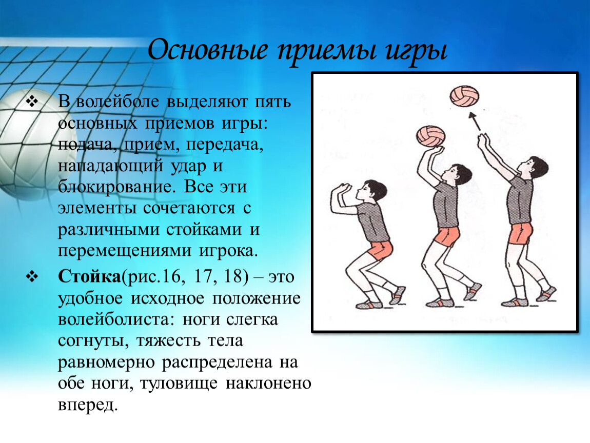 О волейболе статьи: Статья на тему » Волейбол ,как вид спорта» — ООО  