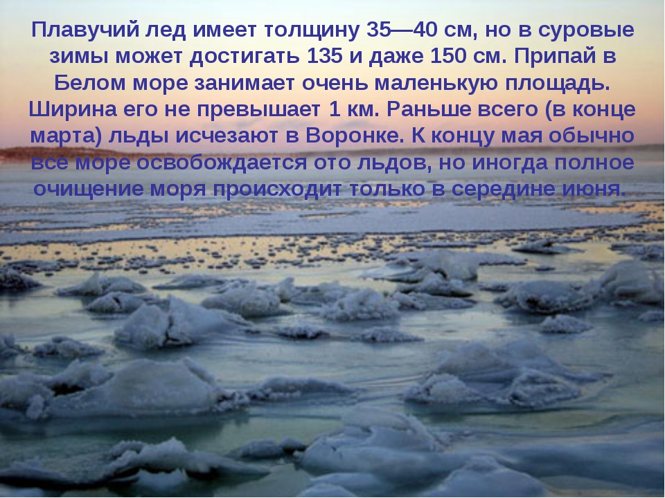 К какому океану принадлежит белое море. Белое море доклад. Белое море интересные факты. Факты о белом море. Описание белого моря.