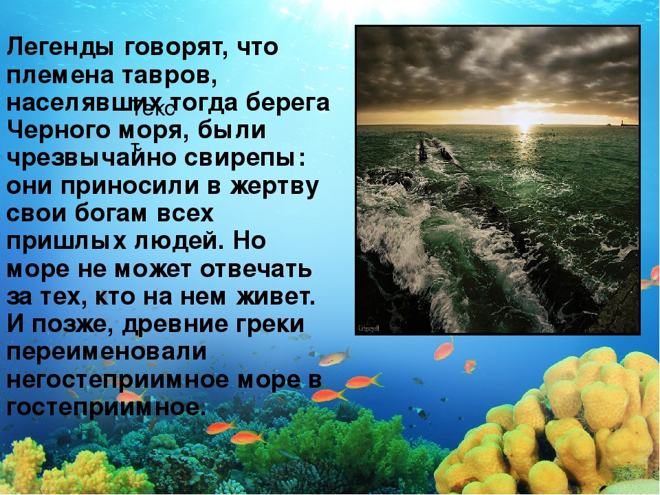 Черное море интересные факты