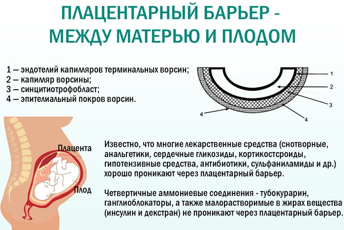 СПИД. Как передается от человека к человеку, симптомы, признаки, лечение