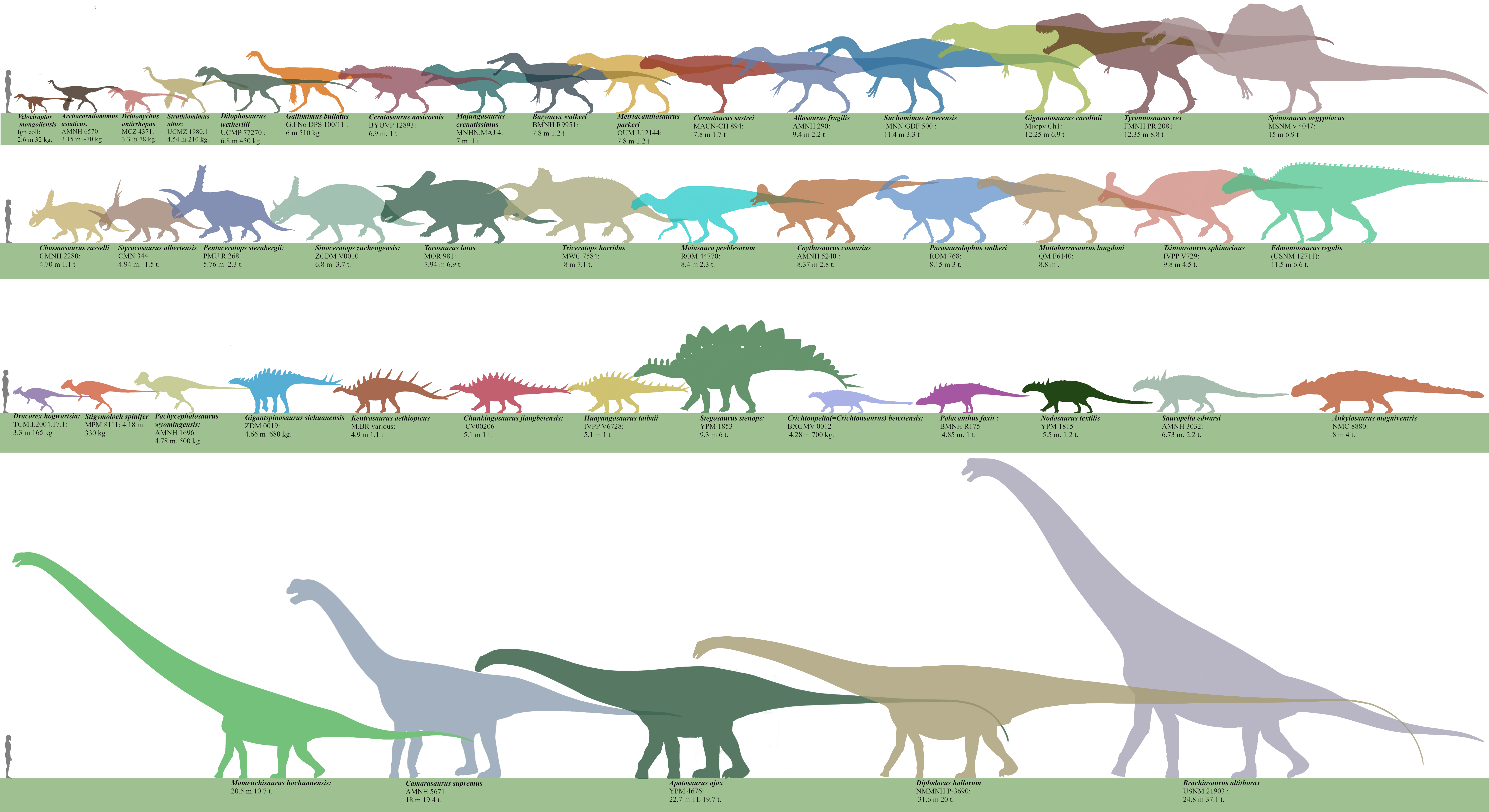 Развитие динозавров. Диплодок Брахиозавр Спинозавр. Диплодок и Тиранозавр. Мир Юрского периода размер динозавров. Эволюция динозавров.