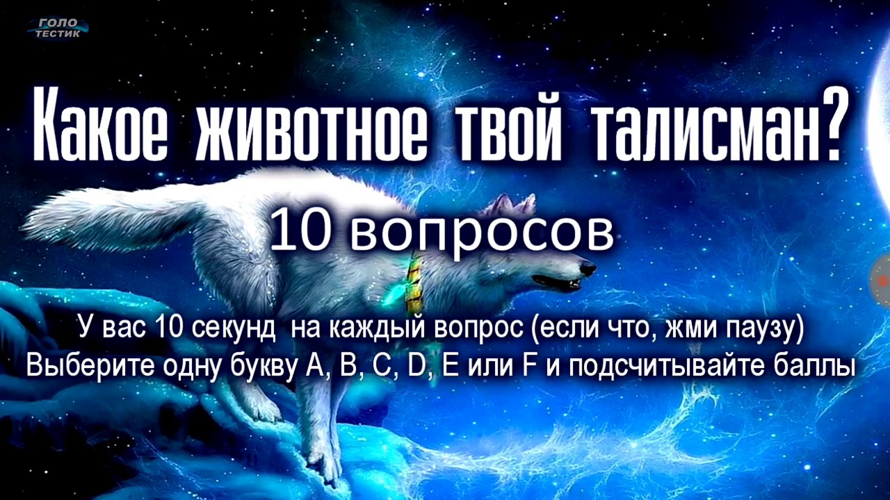 Я твой питомец песня. Твой талисман. Тесты какой твой оберег. Какое твое животное.