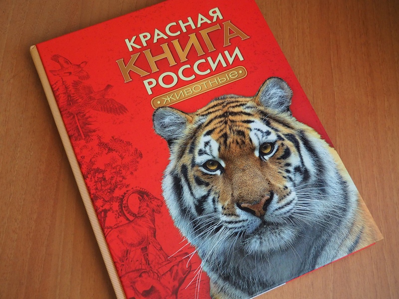 Красная книга россии читать онлайн бесплатно с картинками