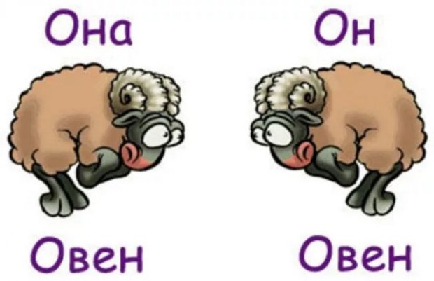 Овен и Овен