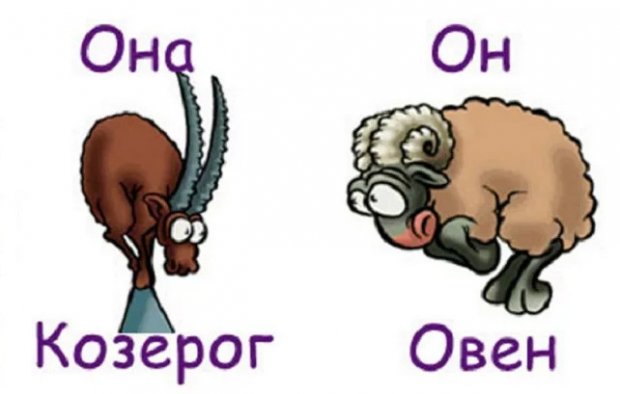 Козерог и Овен