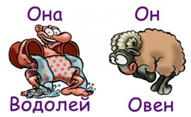 Водолей и Овен