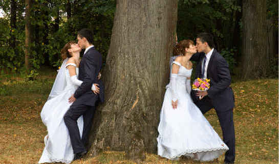 Дерево олицетворяет брак через пять лет