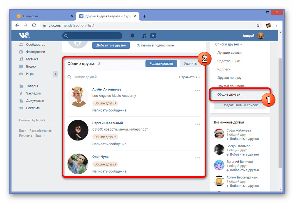 Пример метки Общие друзья через списки ВКонтакте