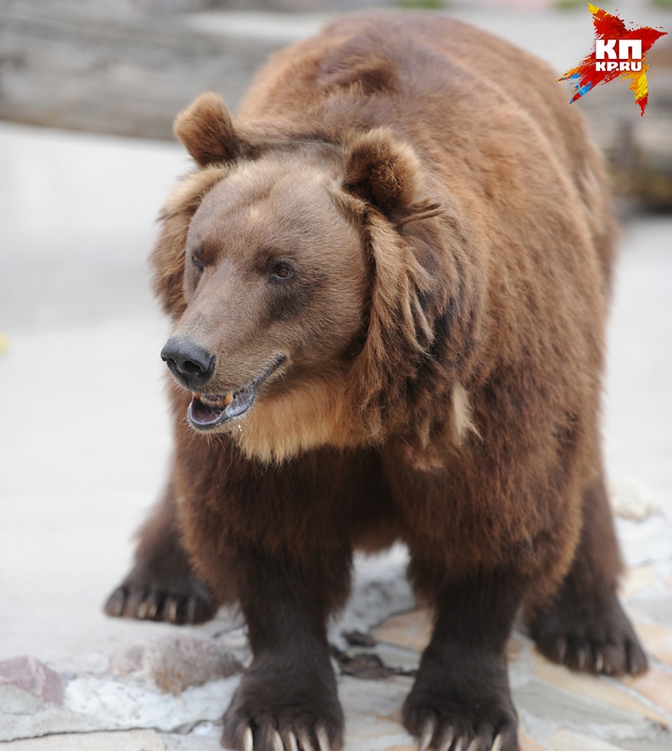 Фото: Михаил Фролов. 