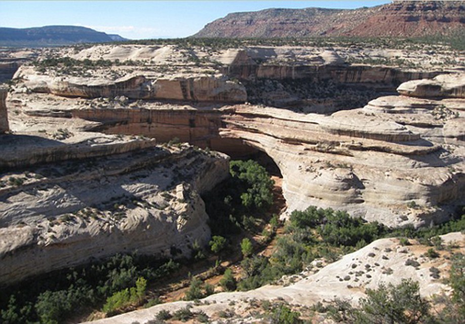 В этих местах штата Юта обнаружна пещера с изображением диплодока 