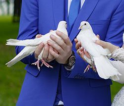 Свадебные голубки