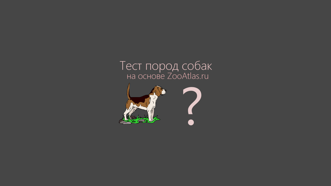 Тест про собак. Тест на знание пород собак. Тест на породу собаки. Выбор породы собаки тест.