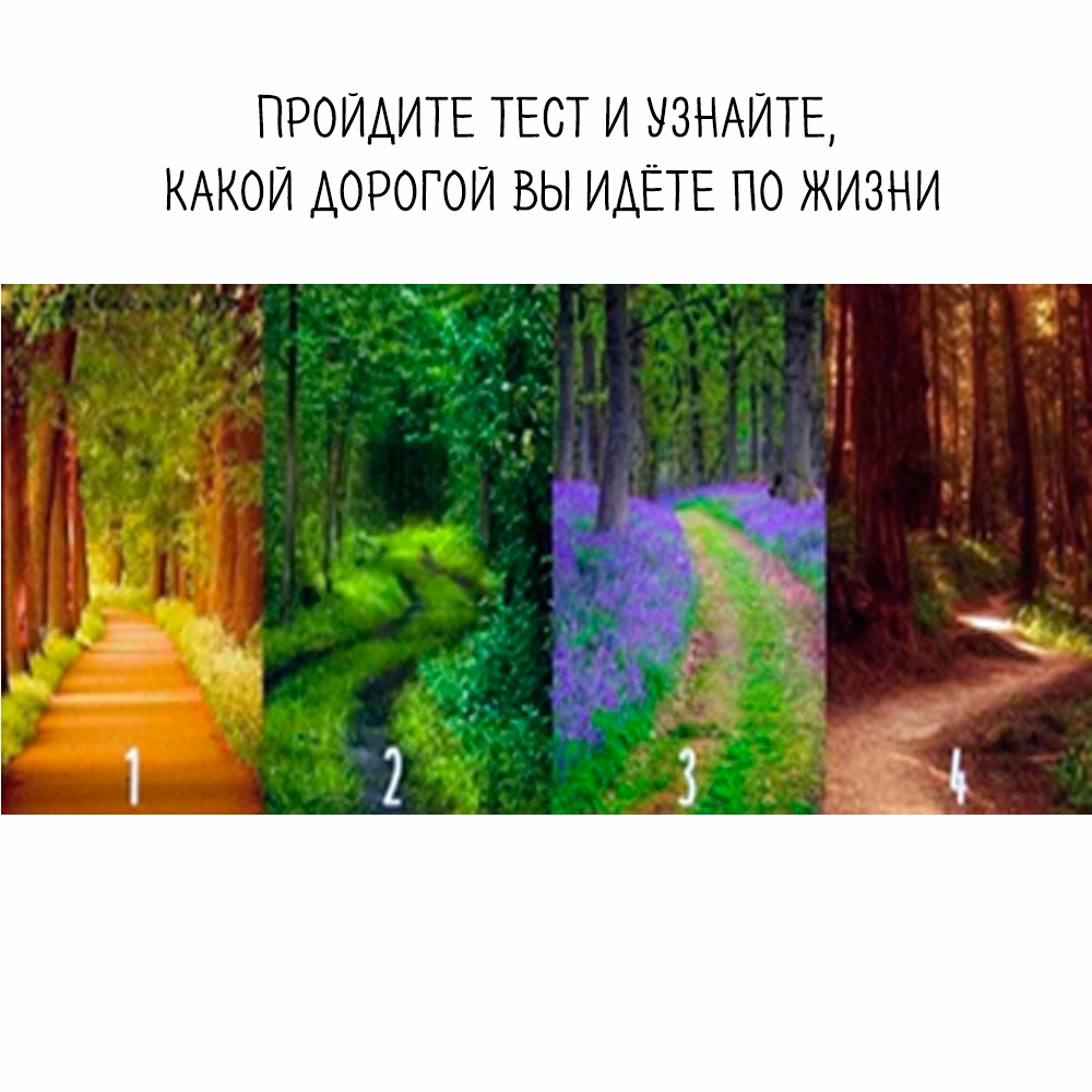 Ограниченная жизнь. Тест на жизнь. Пройди тест и узнай. Какой дорогой вы идете. Тест жизненный путь.