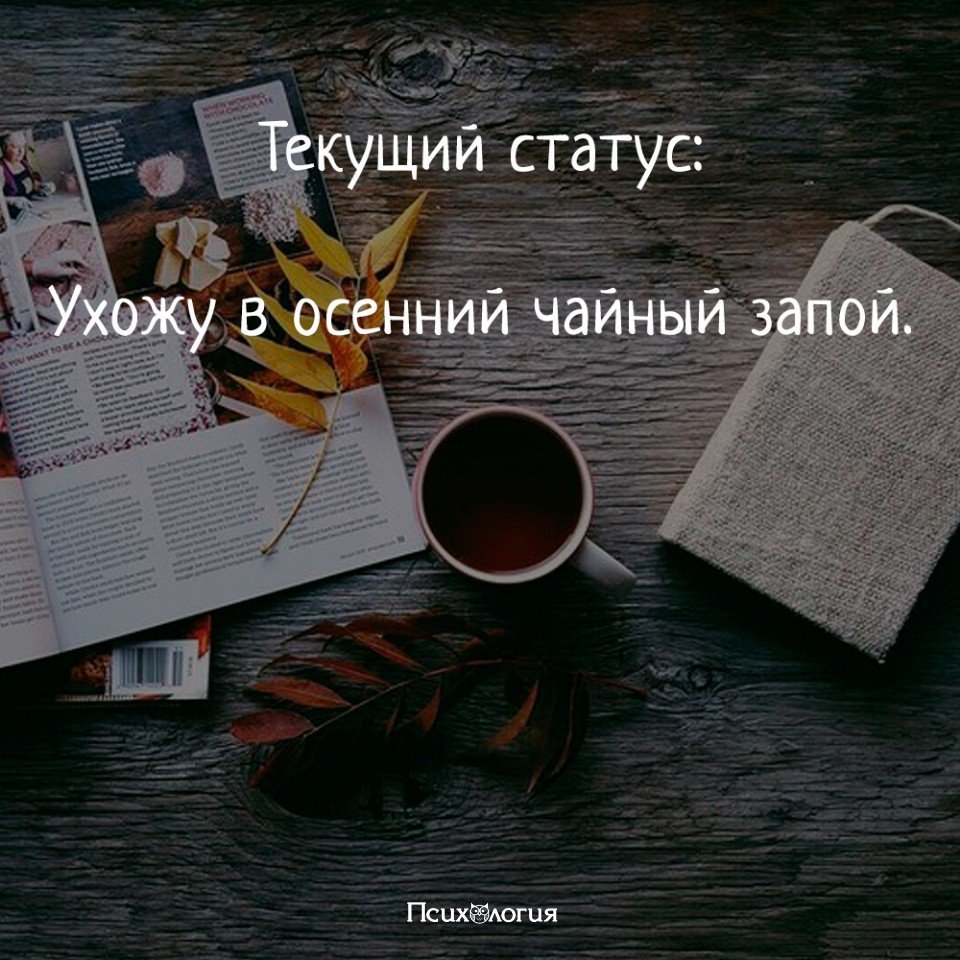 Ухожу в запой песня. Ухожу в осенний чайный запой. Осенний чайный запой. Ушла в осенний кофейный запой. Ухожу в кофейный запой.