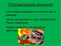 Значение пауков в природе и жизни. Значение паукообразных в природе и жизни человека. Роль паукообразных в жизни человека. Роль паукообразных в природе. Значение паукообразных.