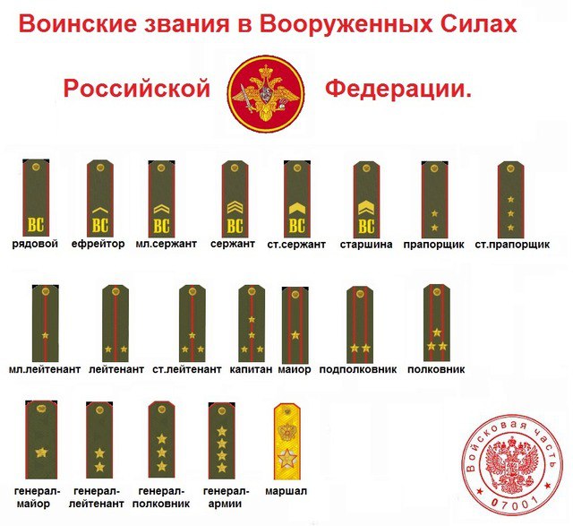 Воинские звания погоны в картинках российской армии