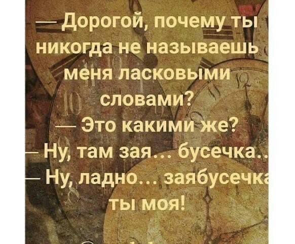 Никогда почему и. Анекдот зая бусечка. Заябусечка ты моя. Дорогой назовите меня ласково. Заябусечка ты моя анекдот.