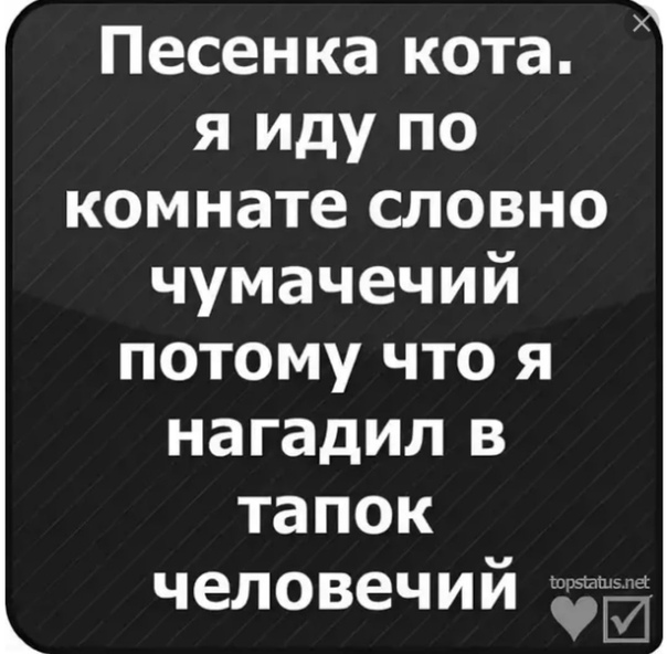 Статусы в вк картинки у имени