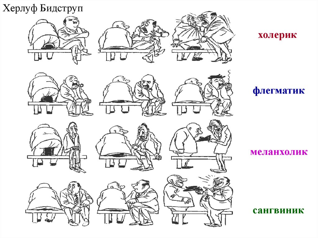 Холерик сангвиник флегматик картинка