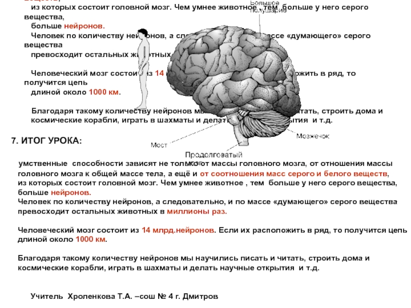 На сколько работает мозг