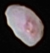 Nix in Color Released September 11 2015.png
